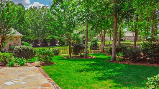 commercial landscape